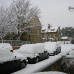 Winter 2010 002