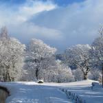 Snowy canal 032