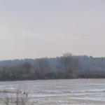 DSC01169.JPG
