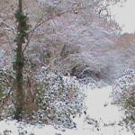 DSC01171.JPG
