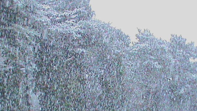 DSC01174.JPG
