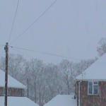 DSC01177.JPG
