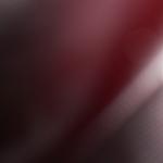 DSCN1304