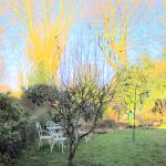 Magnlia needs pruning may show structure better