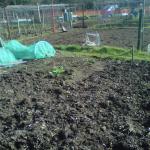 IMG00025-20110320-1356.jpg