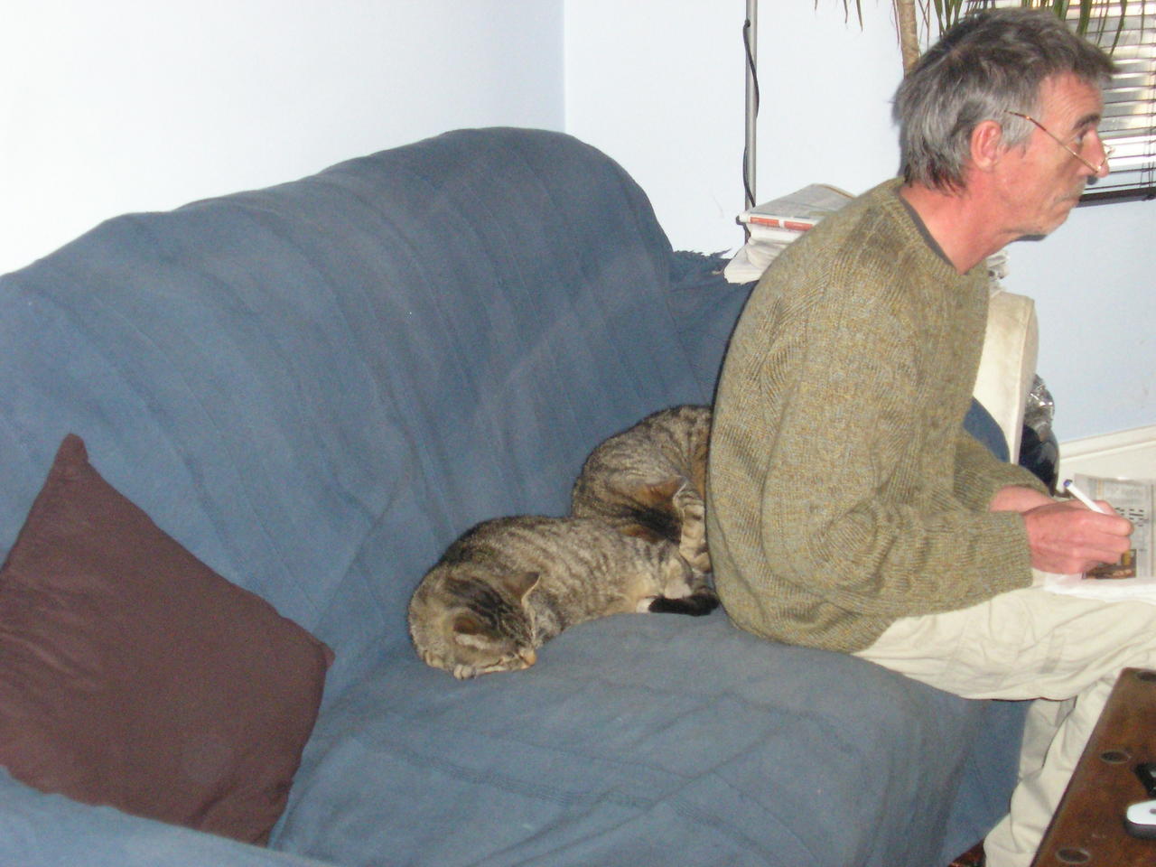 Cats 012