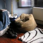 Cats 042
