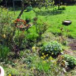 Garden from middle path