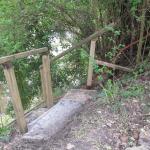 steps