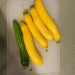 DSCN0246.jpg