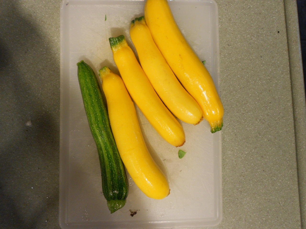 DSCN0246.jpg