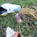 DSCN0912.JPG