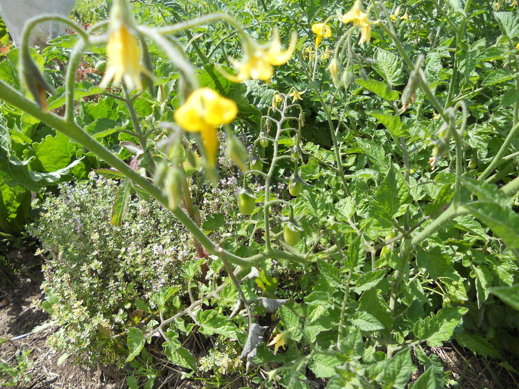 DSCN1120.JPG