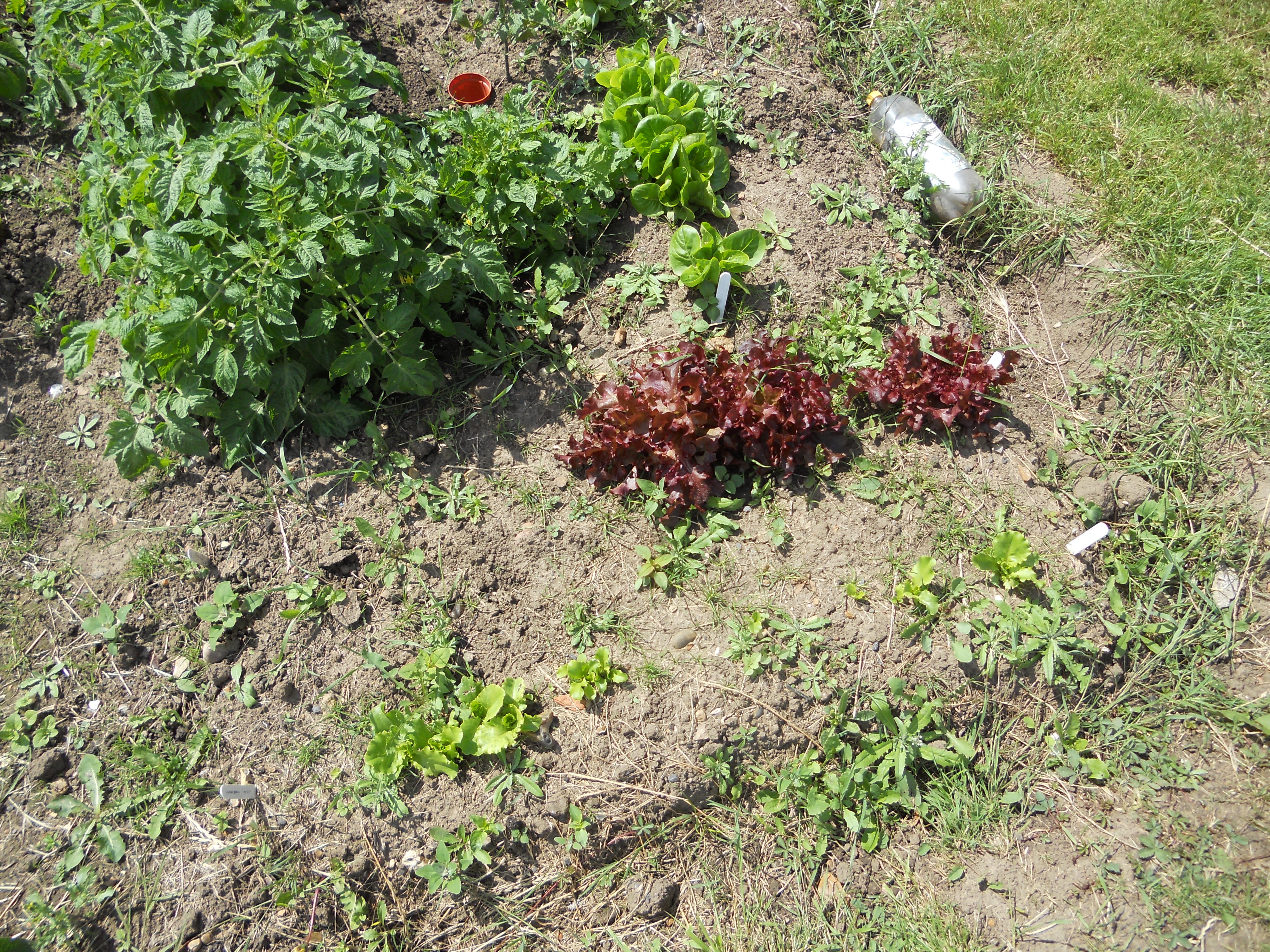 DSCN1122.JPG