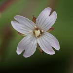 DSC03820