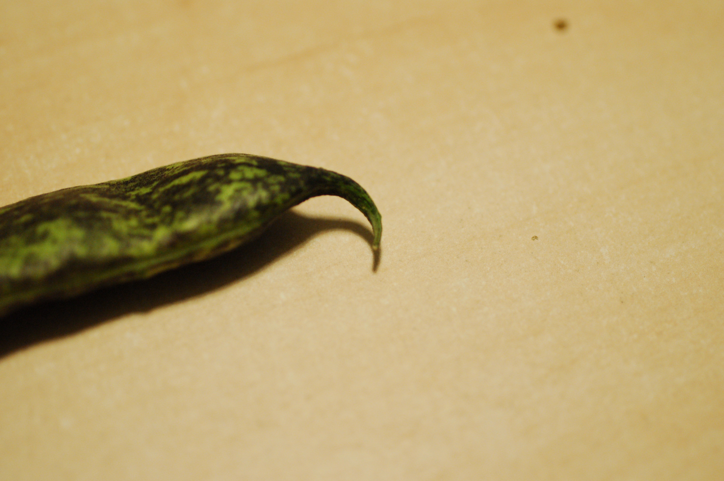 DSC_0391.JPG