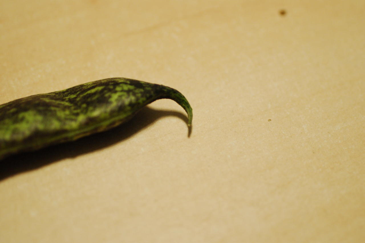 DSC_0391.JPG