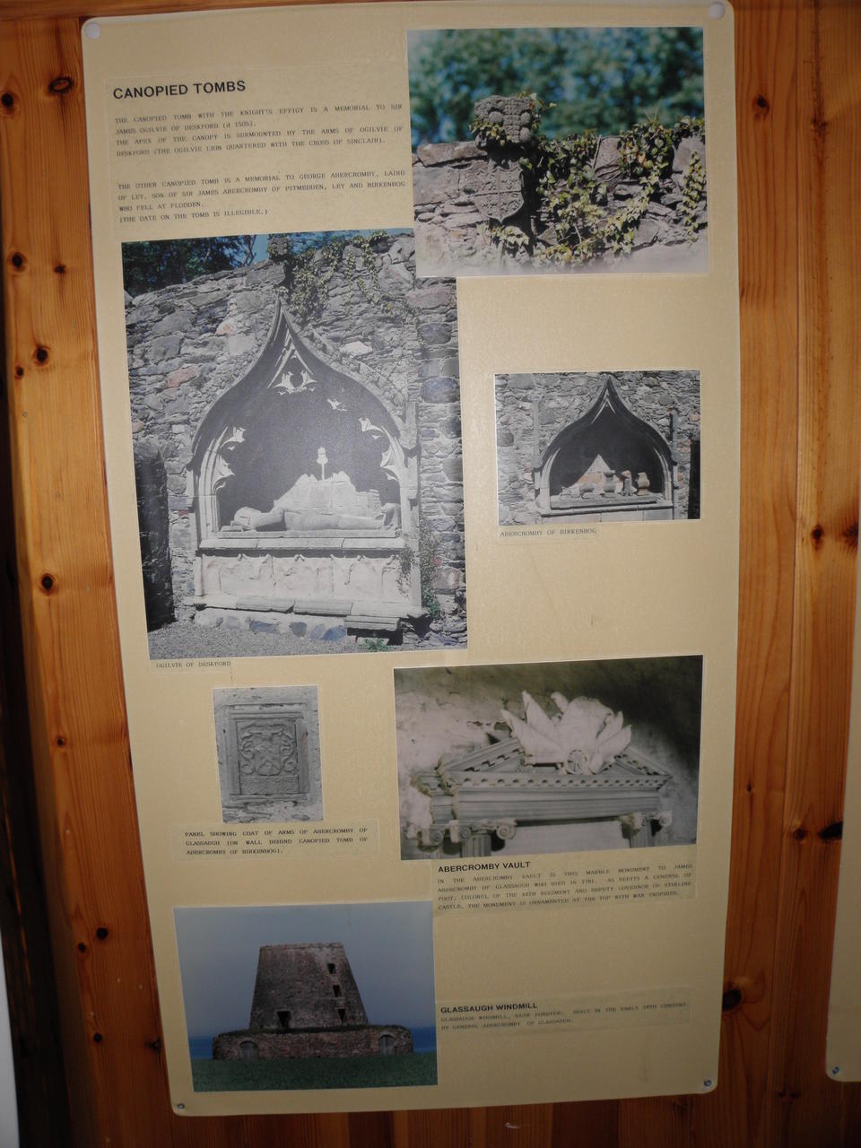 P6171766.JPG