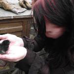 CHICK  29th July 2011 010