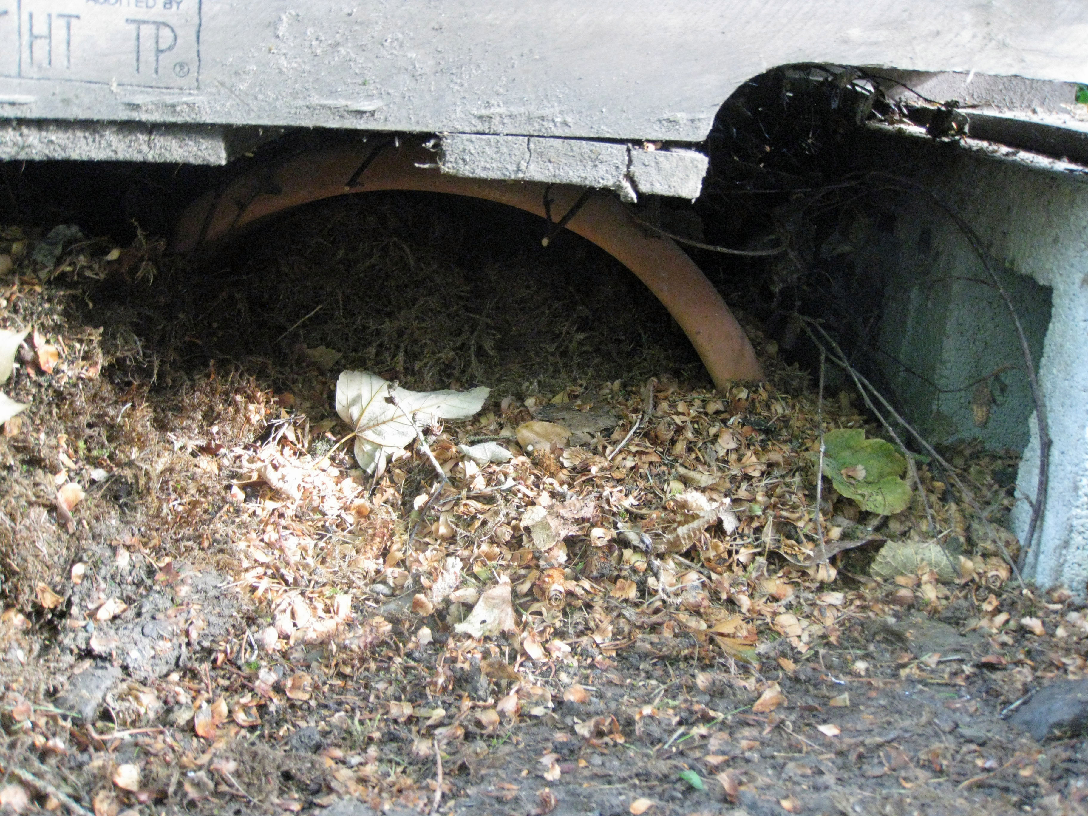 Hedgehog House