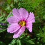 AAA_0760.JPG