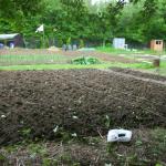 allotment 001