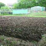 allotment 002