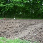 allotment 004