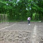 allotment 005