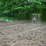 allotment 006