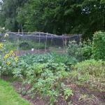 allotment 012