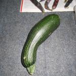 DSCN1495.JPG