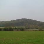 back of Stapleford hill