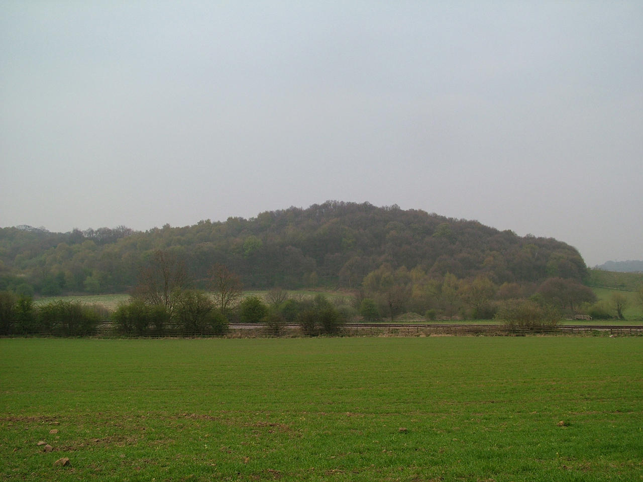 back of Stapleford hill