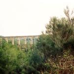 SP_043_large.jpg