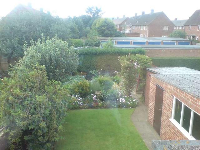 DSC00949