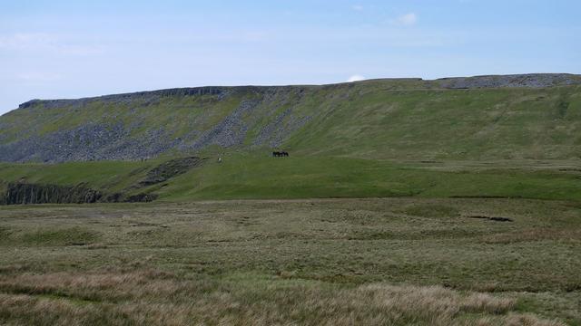 wild horses at high cup nick.jpg