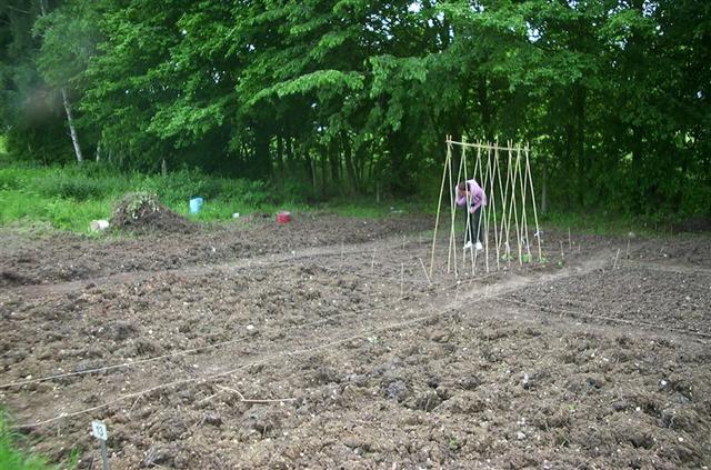 allotment 006