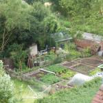 garden  august o8