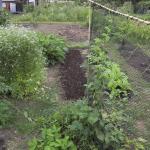 middle of plot, looking E