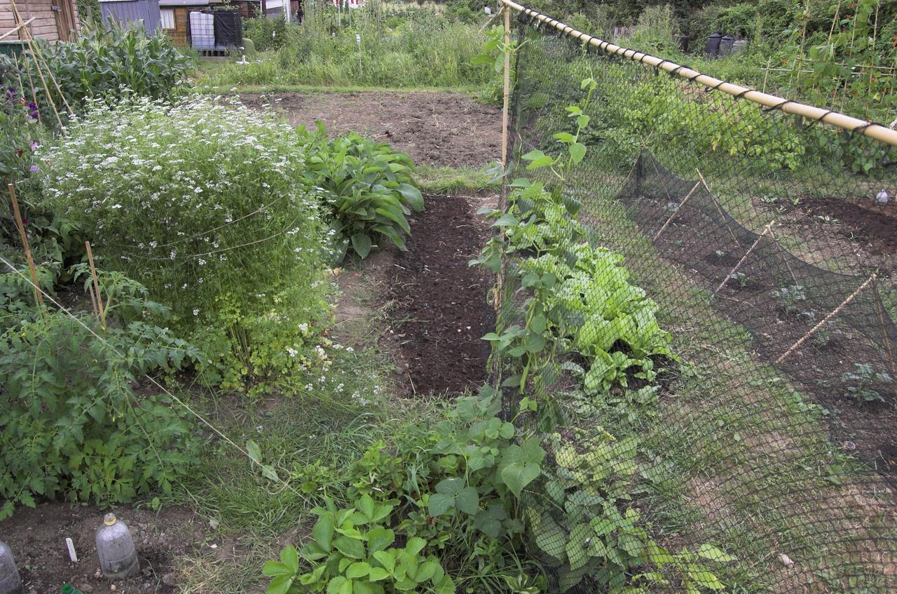 middle of plot, looking E