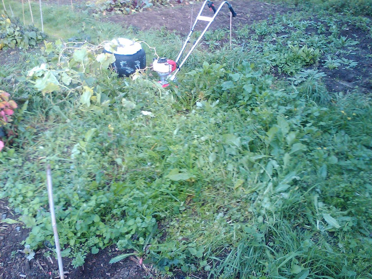 2010-10-19 15.10.50.jpg