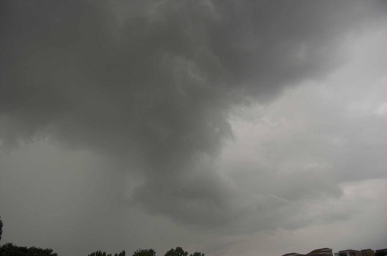 DSC_8380-01.jpg