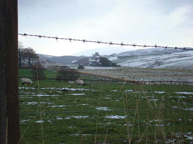 DSC03666