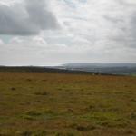 DSCN0205.jpg