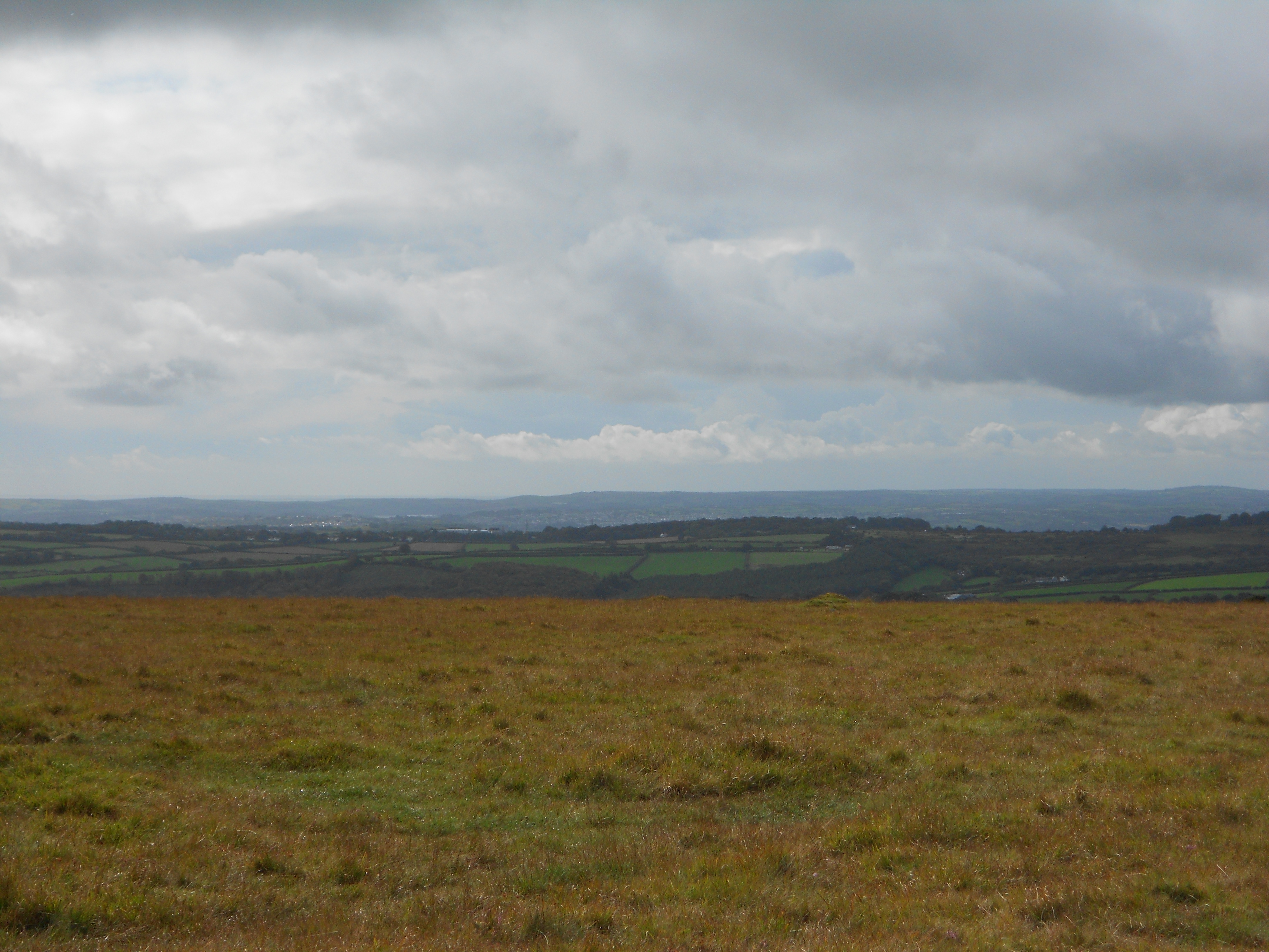 DSCN0206.jpg