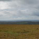 DSCN0206.jpg