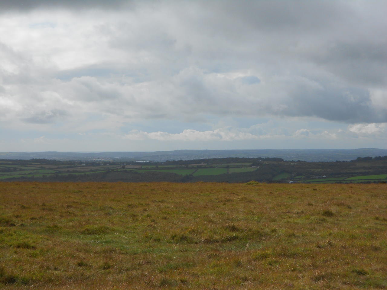 DSCN0206.jpg