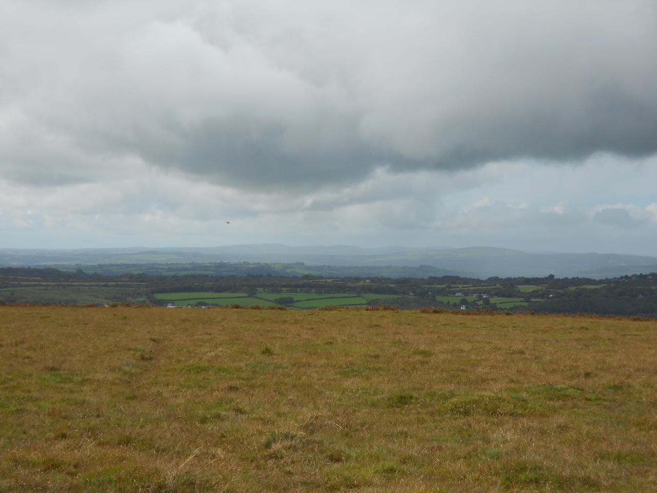 DSCN0208.jpg