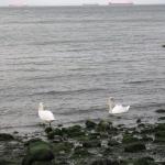 2011 065